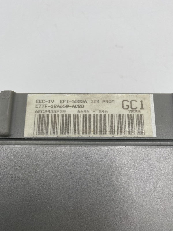 8003705